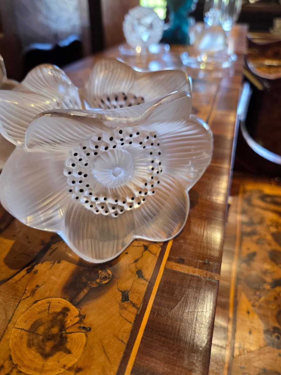 Pair Of Lalique Anemone Candlesticks From The Late 70s-photo-5