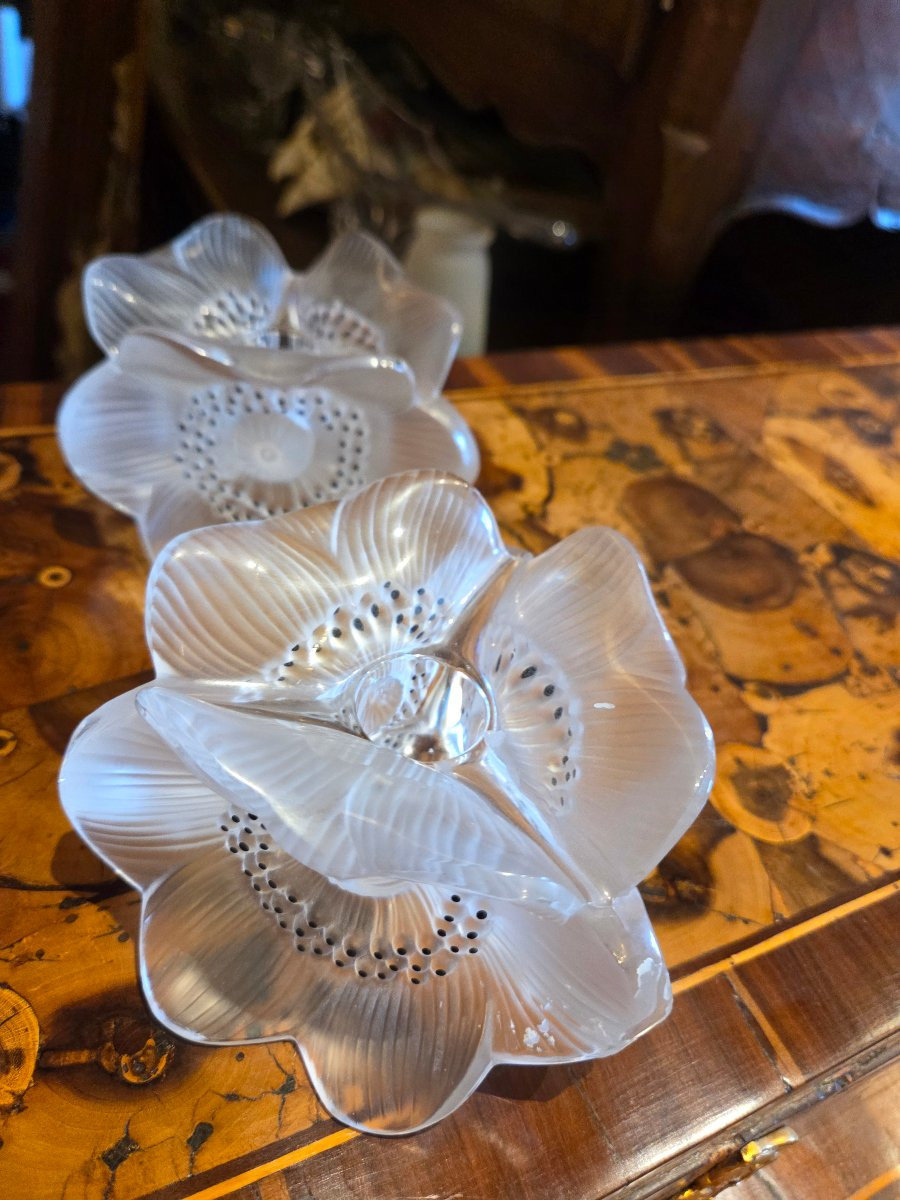 Pair Of Lalique Anemone Candlesticks From The Late 70s-photo-6