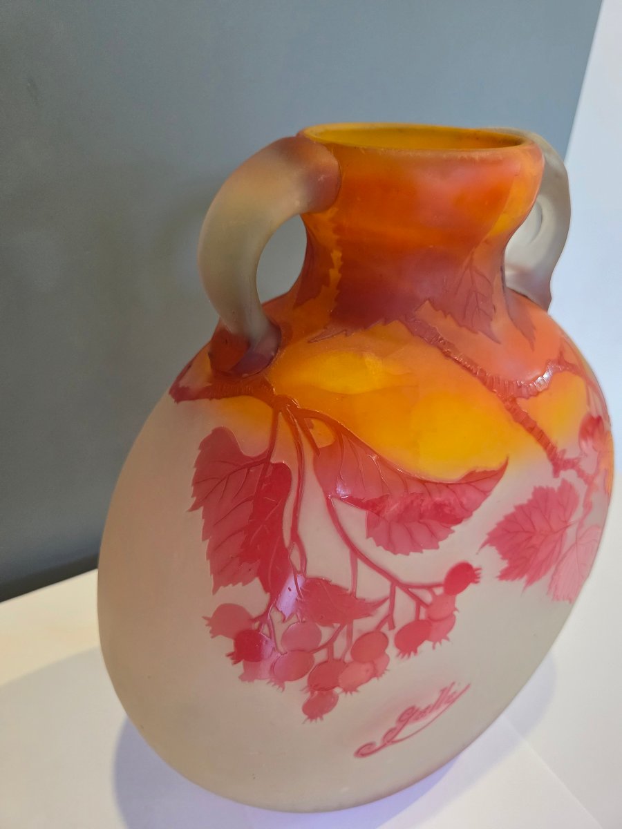 Vase en pate de verre multicouches de forme gourde a decor de groseilles d'Emile GALLÉ  -photo-4