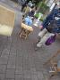 1562292-alb-68440ad4e461e.jpg