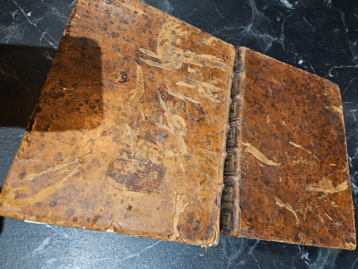 Books Corpus Juris Civilis Academinum Volume 1 And 2-photo-3