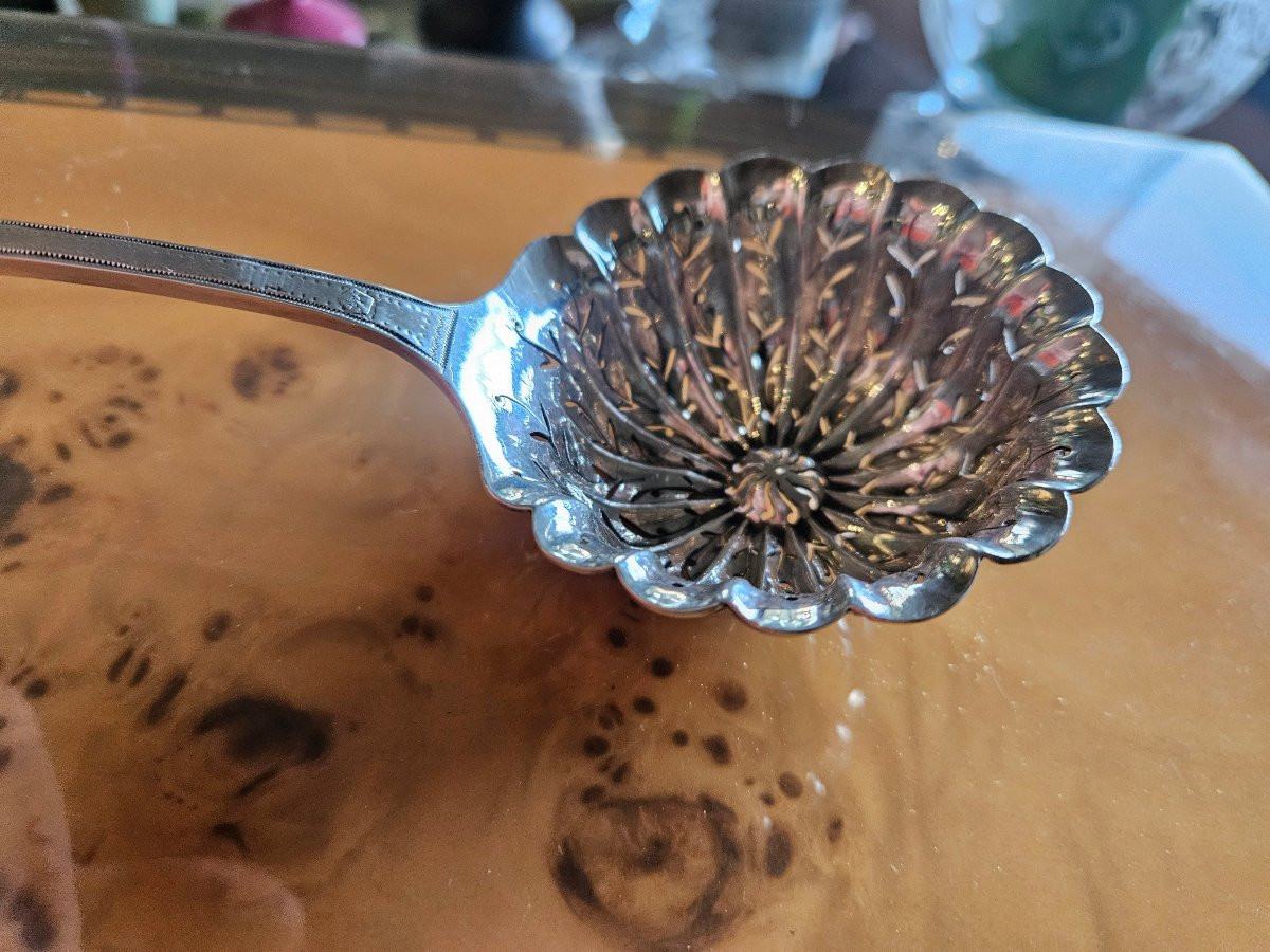 Silver Powder Dispenser-photo-2