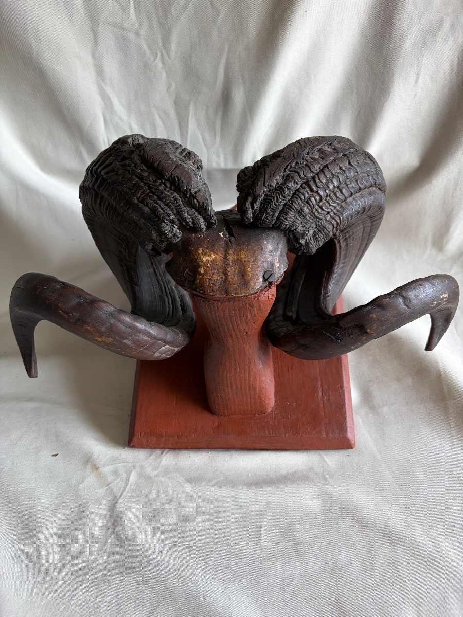 Trophy, Ram's Horns