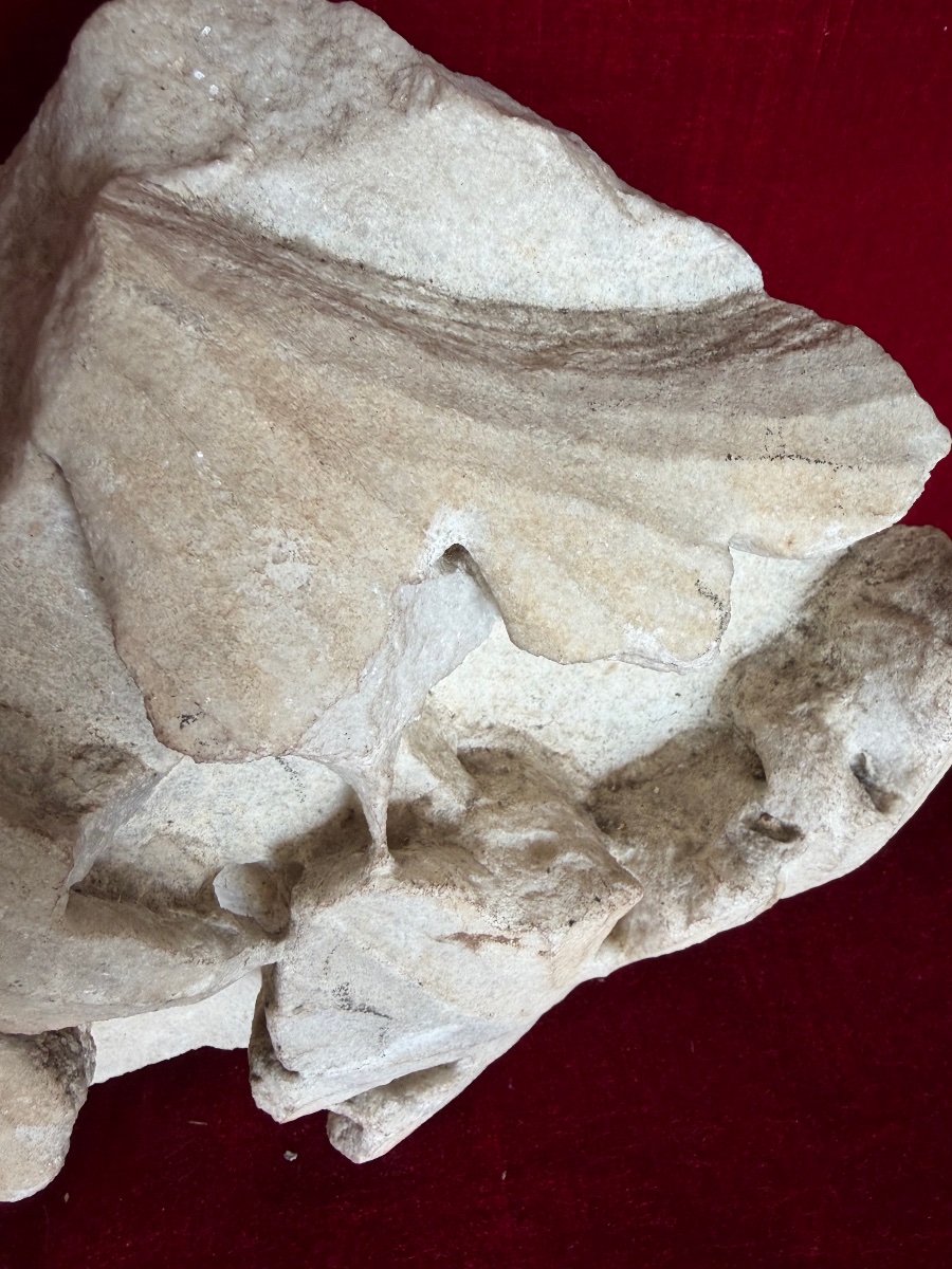 Fragment Of An Architectural Element-photo-3