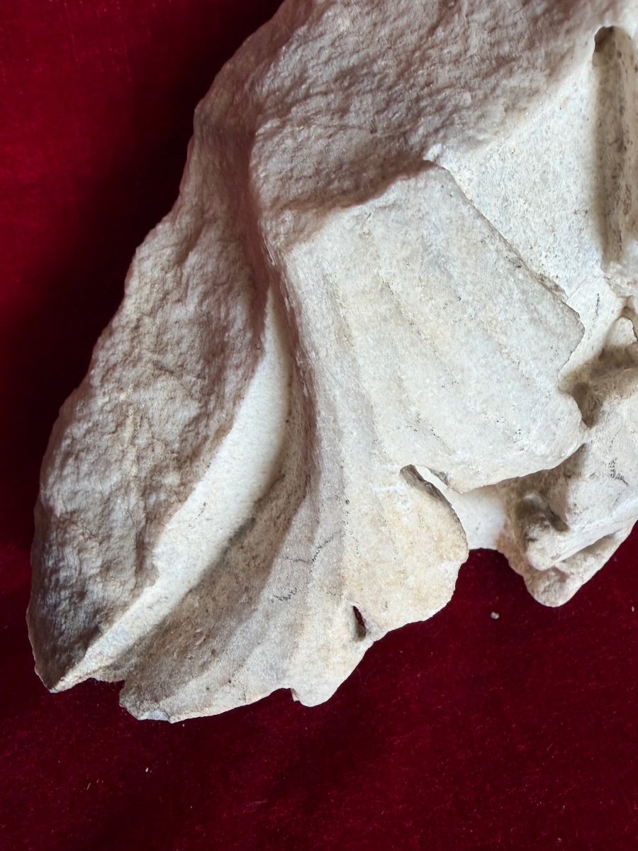 Fragment Of An Architectural Element-photo-4