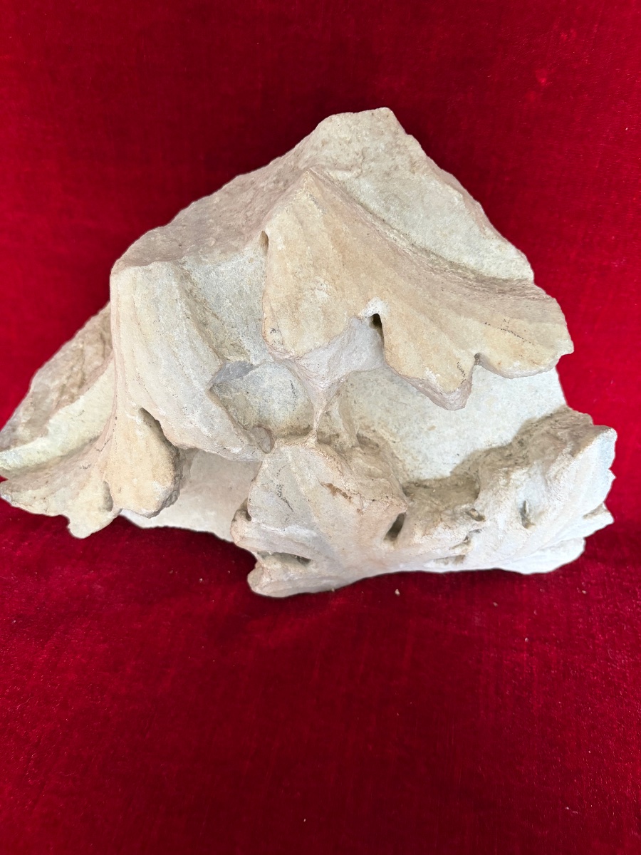 Fragment Of An Architectural Element-photo-1