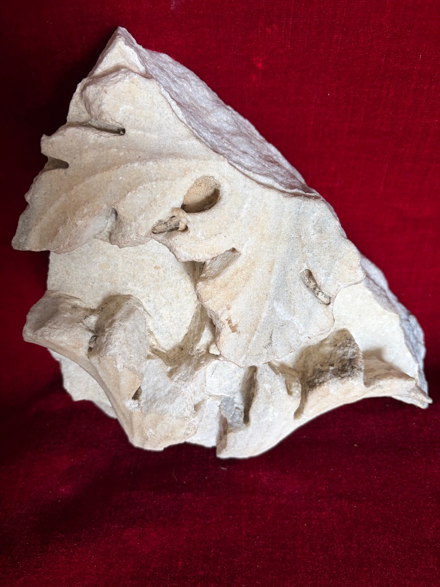 Fragment Of An Architectural Element-photo-2