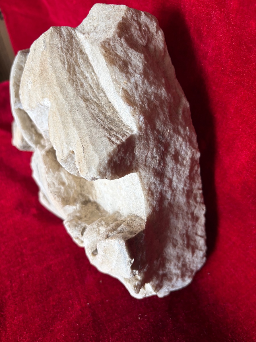 Fragment Of An Architectural Element-photo-3