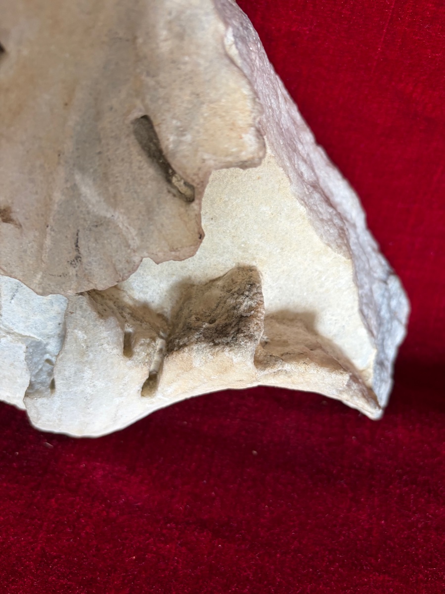 Fragment Of An Architectural Element-photo-6