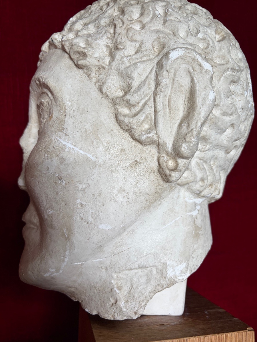 Plaster Cast Of A Warrior's Head-photo-4