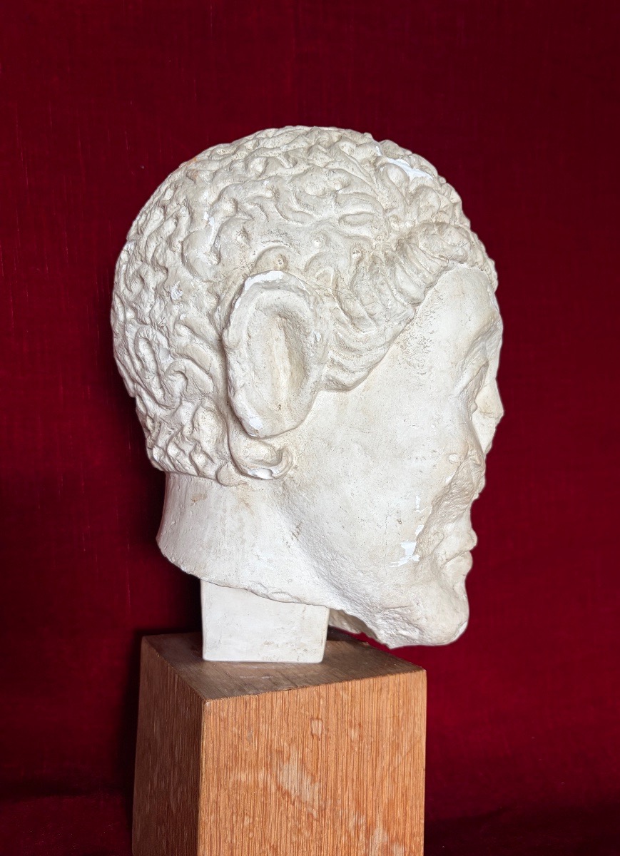 Plaster Cast Of A Warrior's Head-photo-2