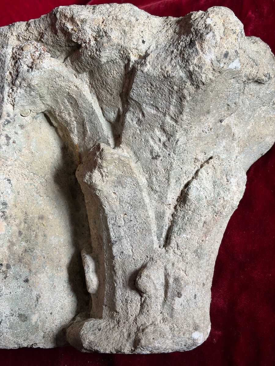 Romanesque Capital -photo-2
