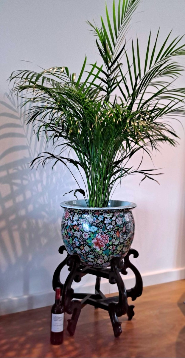 Grande Vasque en porcelaine de Chine XXème-photo-4