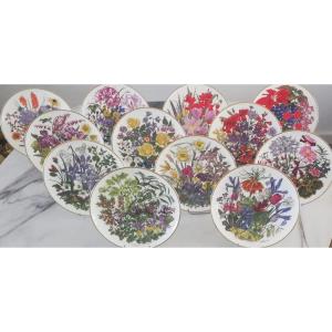 Series Of 12 Plates In Wedgwood 