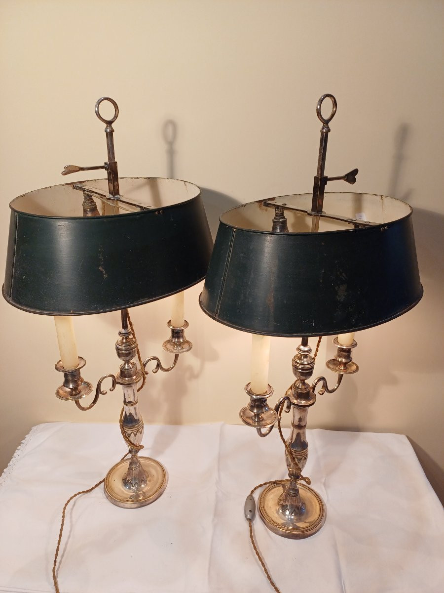 Hot Water Bottle Type Lamps -photo-2