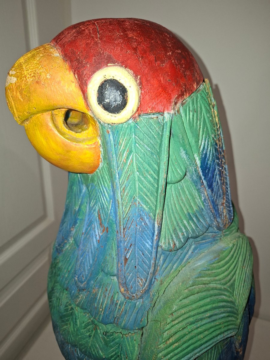 Ara Parrot In Molave Wood, Polychrome Painted -photo-4