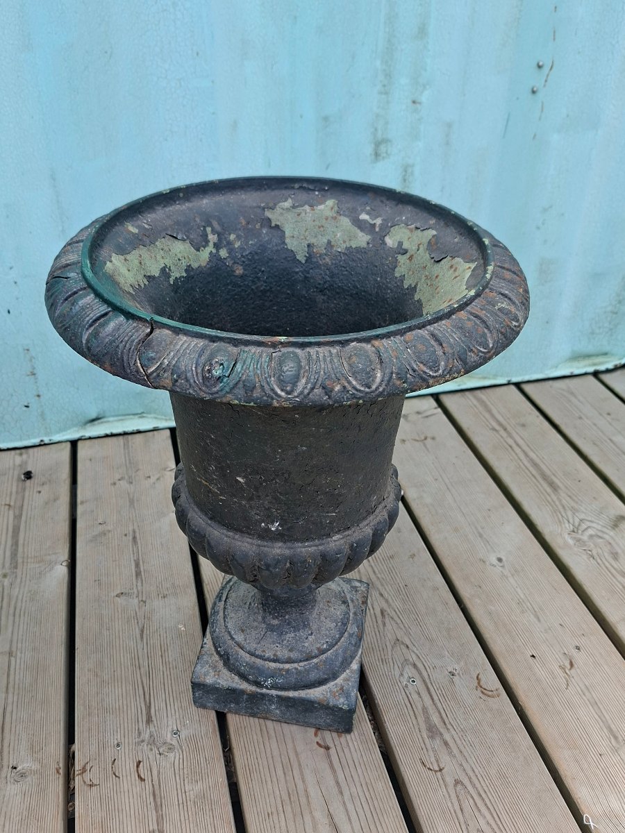 Vases Médecis -photo-2
