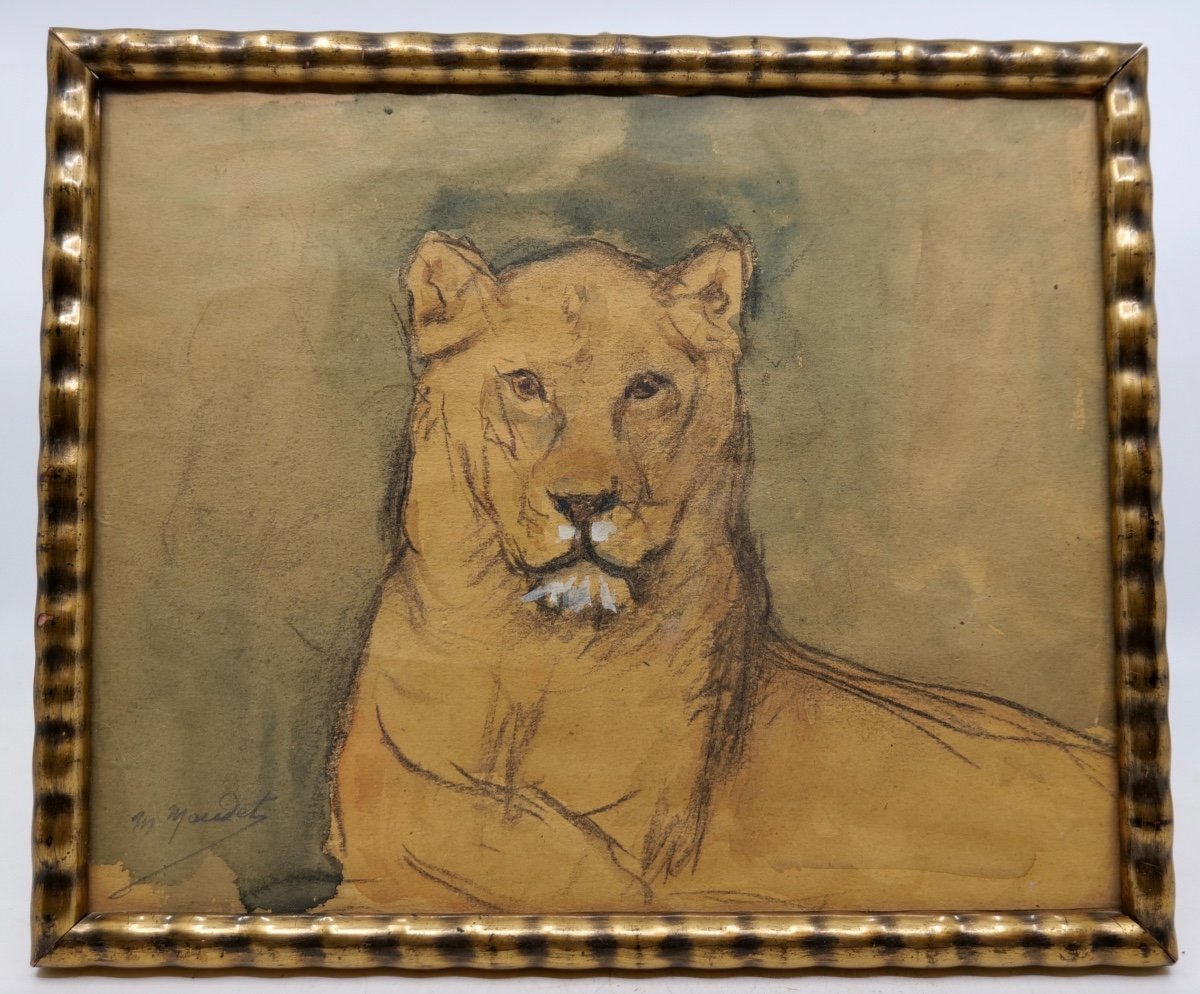 Paire d'Aquarelles Première Moitié XXe Siècle "lionne" - école Française -photo-3