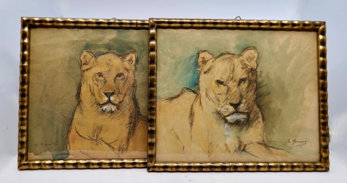 Paire d'Aquarelles Première Moitié XXe Siècle "lionne" - école Française 