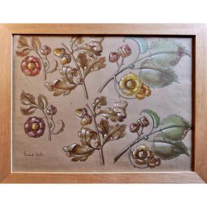 Friedrich Schiller (late 19th Century - Early 20th Century) "floral Study" Watercolor - Circa 1900