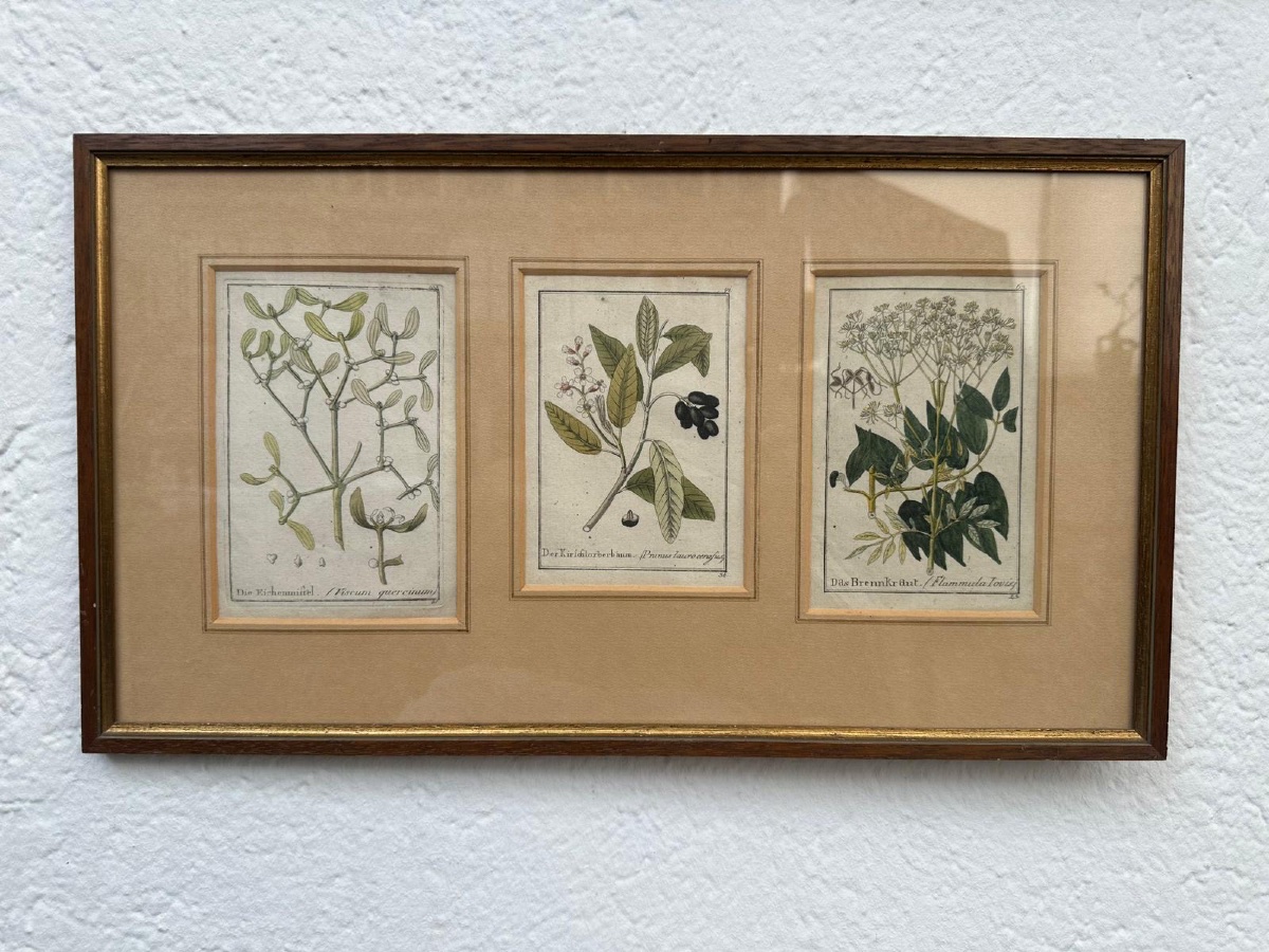 Original 18th-century German Copper Engravings, Hand-colored.-photo-3