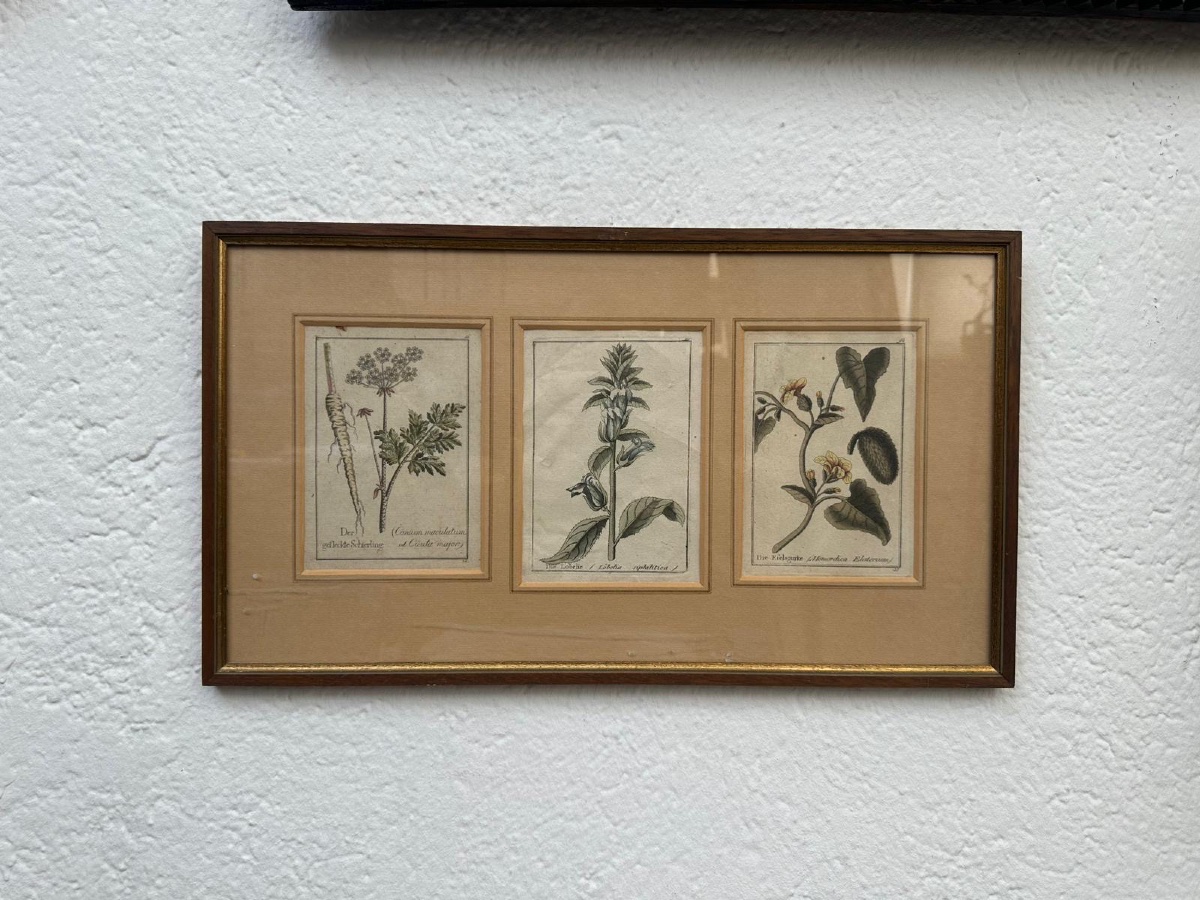 Original 18th-century German Copper Engravings, Hand-colored.-photo-4