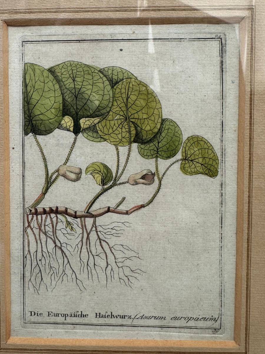 Original 18th-century German Copper Engravings, Hand-colored.-photo-1