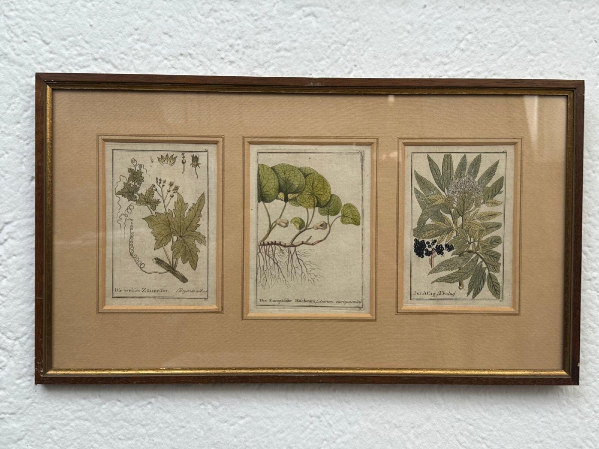 Original 18th-century German Copper Engravings, Hand-colored.