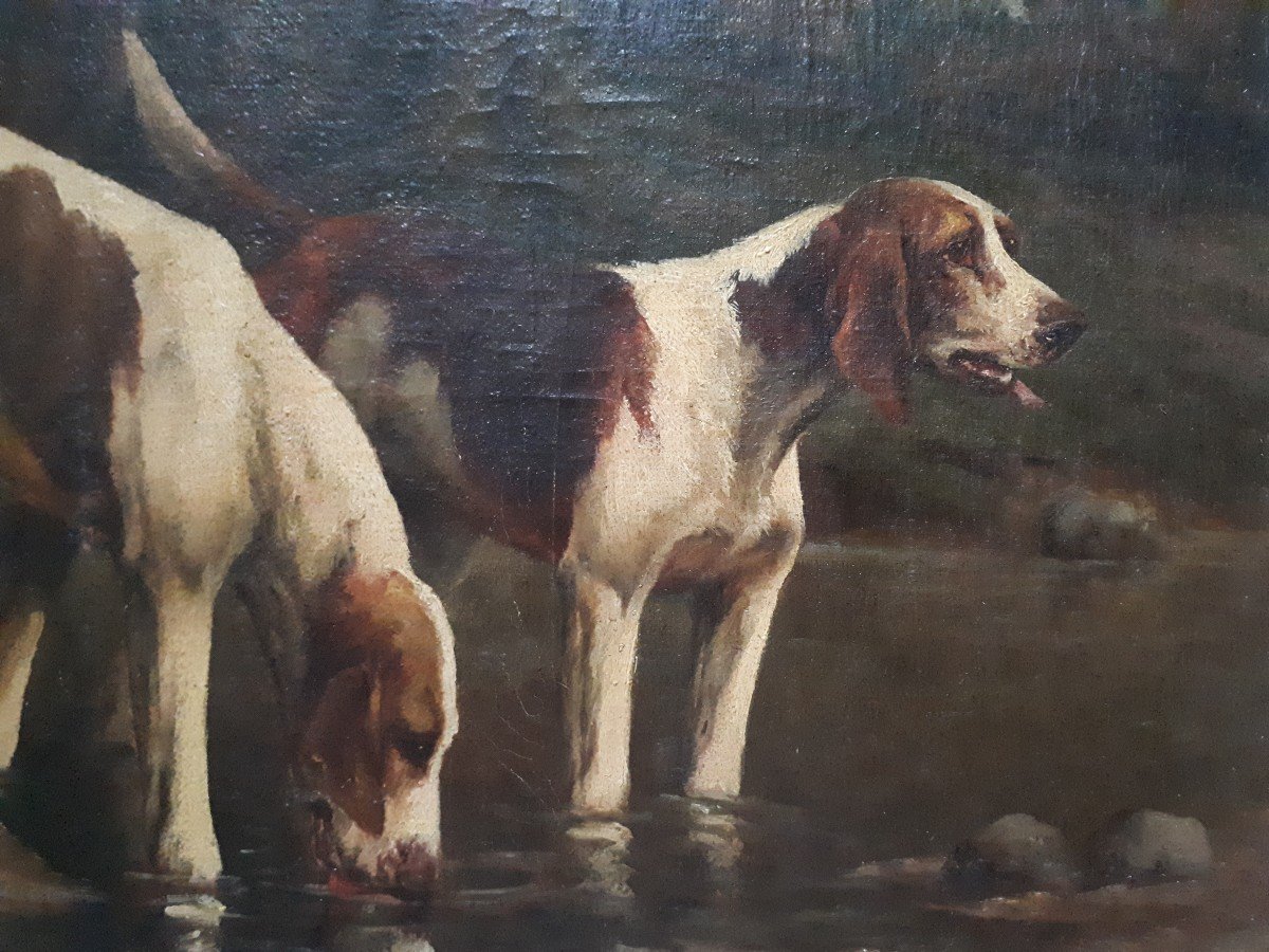 M. GUILLEBERT huile sur toile portrait chiens de chasse braques Saint-Germain-photo-4
