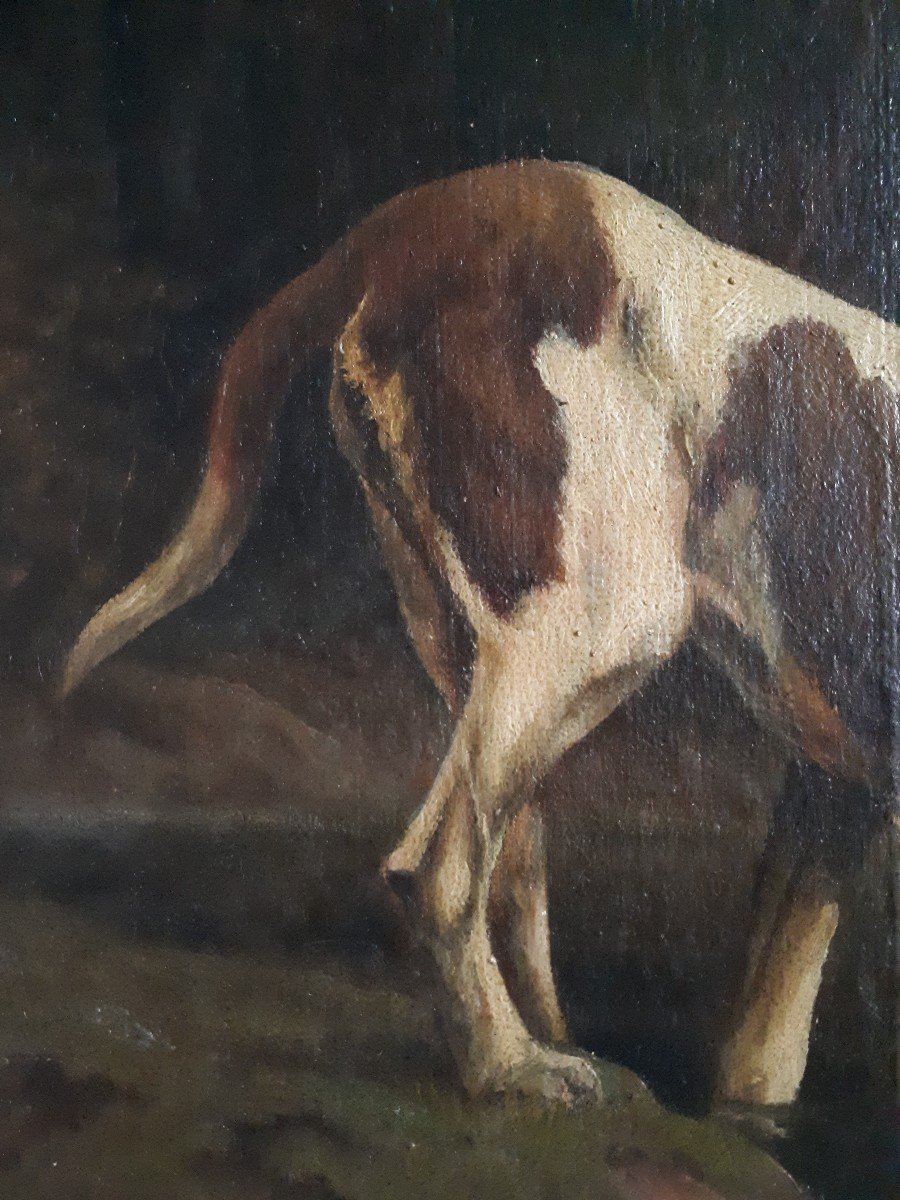 M. GUILLEBERT huile sur toile portrait chiens de chasse braques Saint-Germain-photo-1
