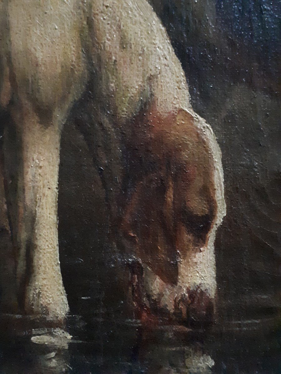 M. GUILLEBERT huile sur toile portrait chiens de chasse braques Saint-Germain-photo-3