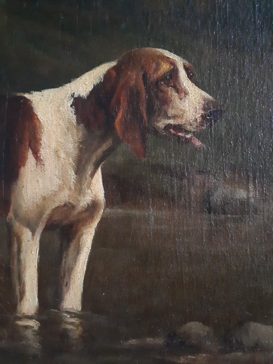 M. GUILLEBERT huile sur toile portrait chiens de chasse braques Saint-Germain-photo-4