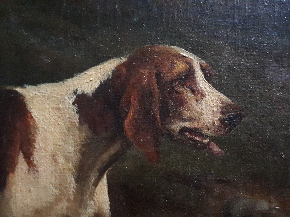 M. GUILLEBERT huile sur toile portrait chiens de chasse braques Saint-Germain-photo-5