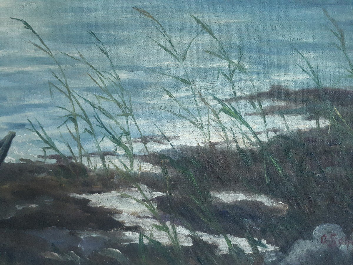 Oil On Canvas Lake Landscape Lake Mountain  Boat C. Schmidt-photo-1