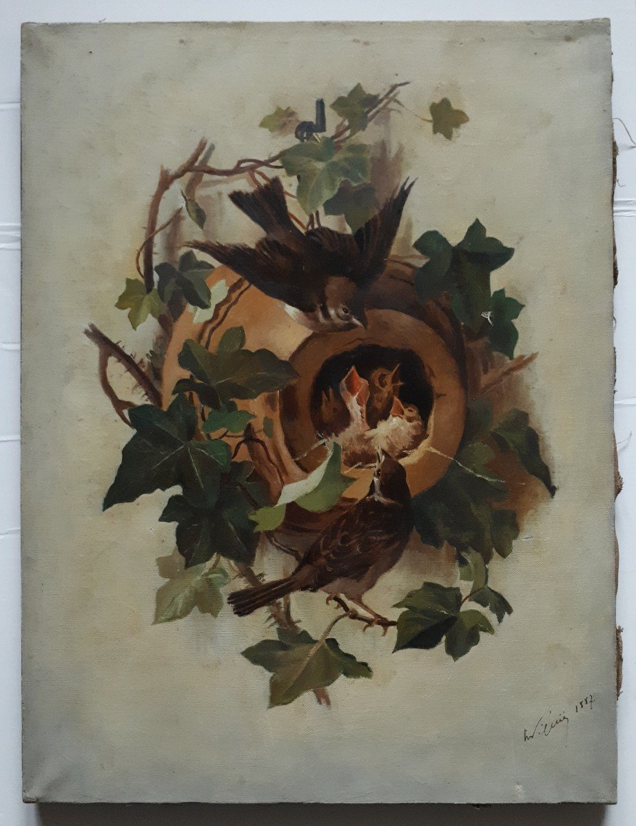 Animal Painting Oil On Canvas Nest Of Baby Birds 19th Signed Dated 1887-photo-2