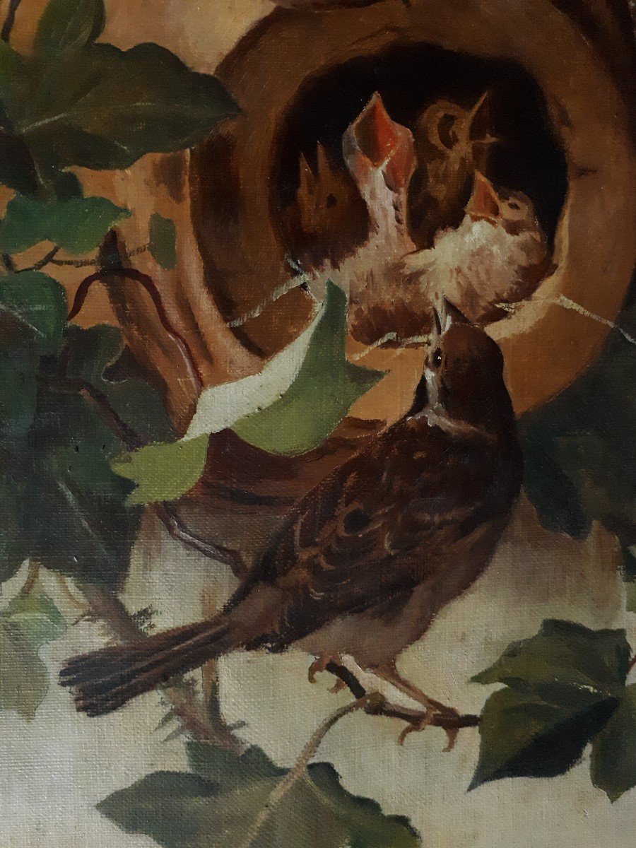 Animal Painting Oil On Canvas Nest Of Baby Birds 19th Signed Dated 1887-photo-4