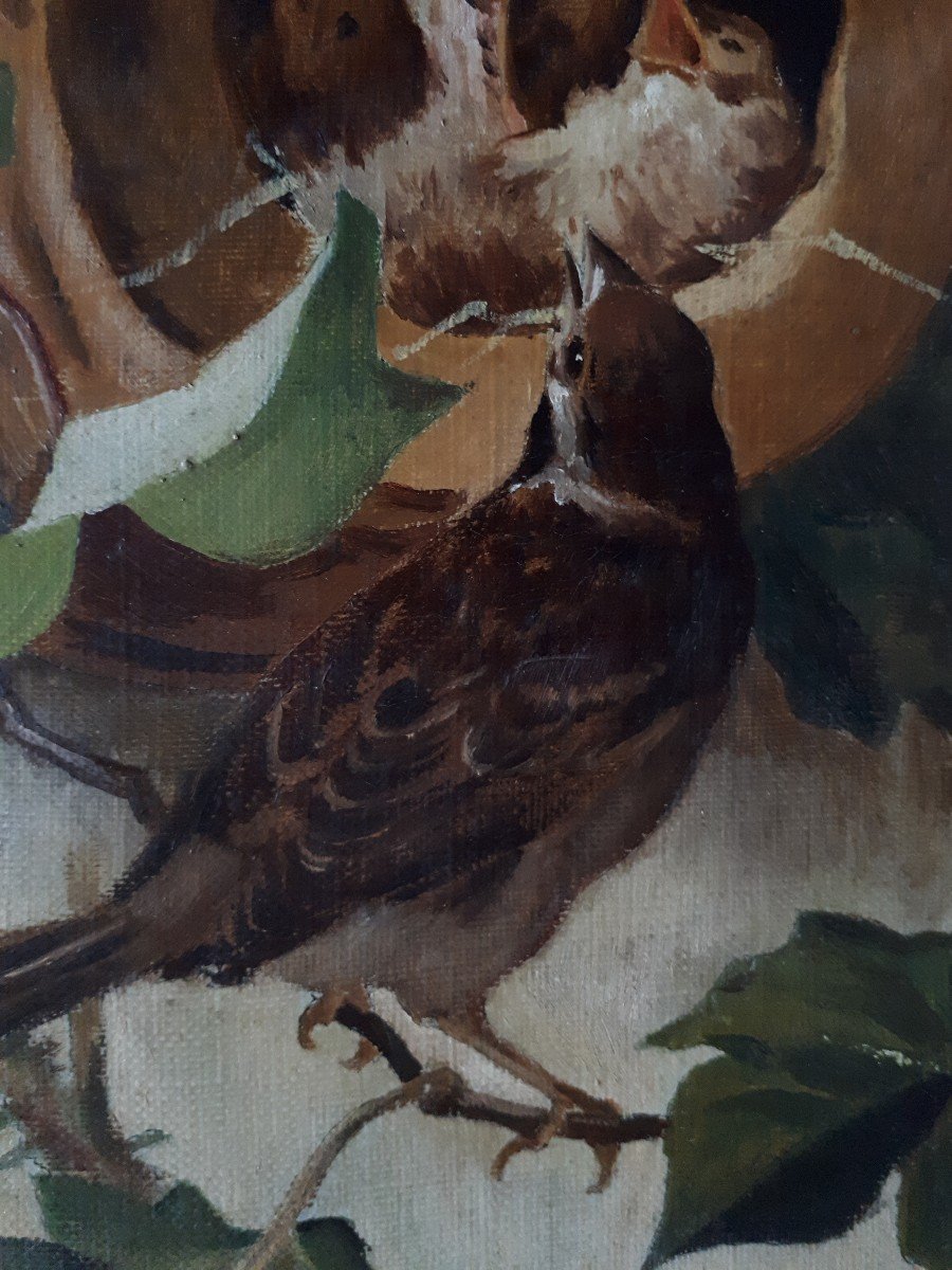 Animal Painting Oil On Canvas Nest Of Baby Birds 19th Signed Dated 1887-photo-4