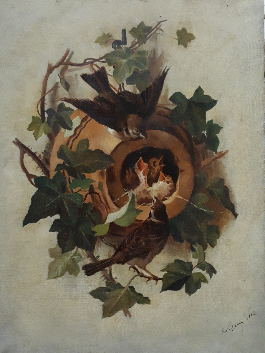 Animal Painting Oil On Canvas Nest Of Baby Birds 19th Signed Dated 1887