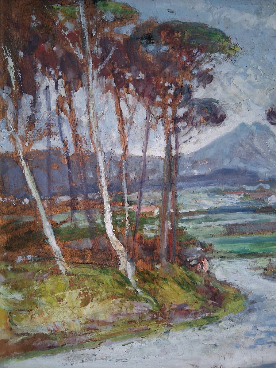 Pierre ALMES (1880-1944) huile sur panneau paysage du pays basque-photo-3