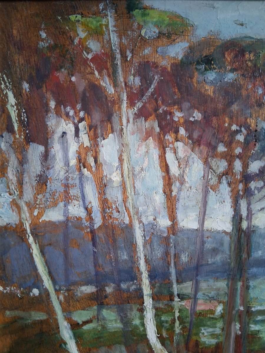 Pierre ALMES (1880-1944) huile sur panneau paysage du pays basque-photo-2