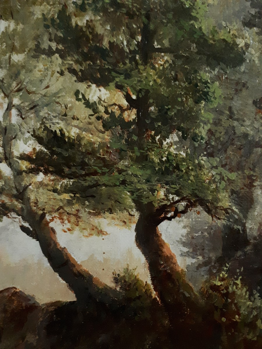 Georges Ricard-cordingley (1873-1939) Oil On Canvas Animated Landscape-photo-5