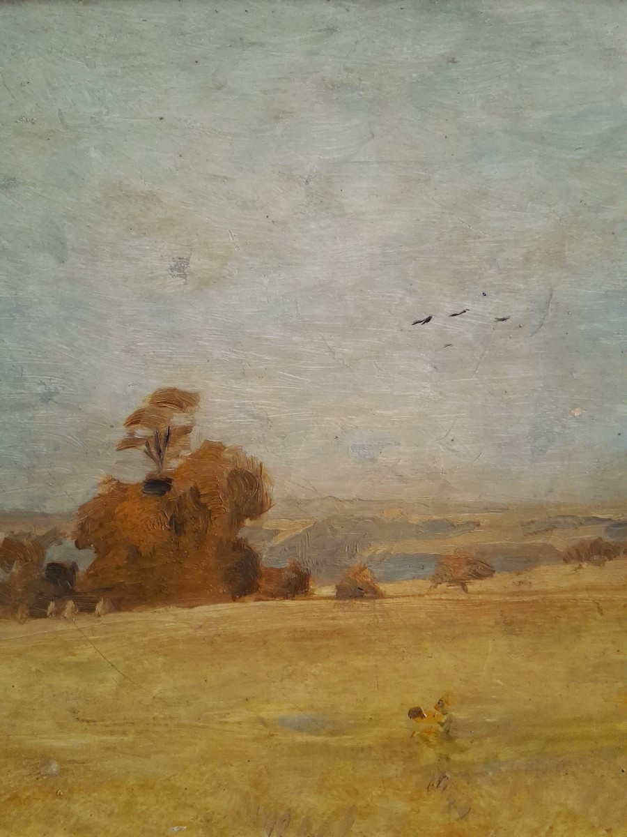 Emile BOULARD (1863-1943) huile sur bois paysage-photo-4