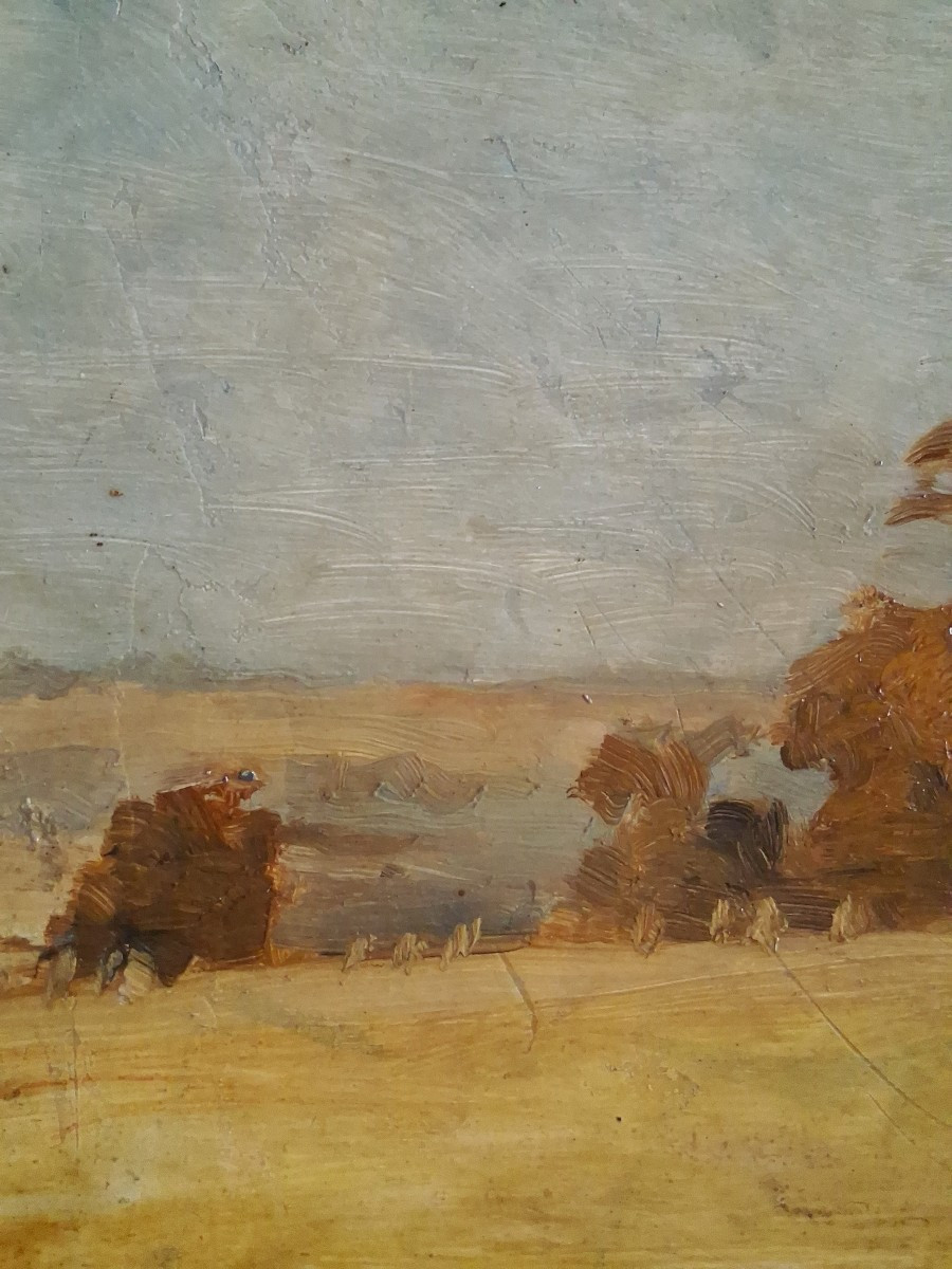 Emile BOULARD (1863-1943) huile sur bois paysage-photo-2