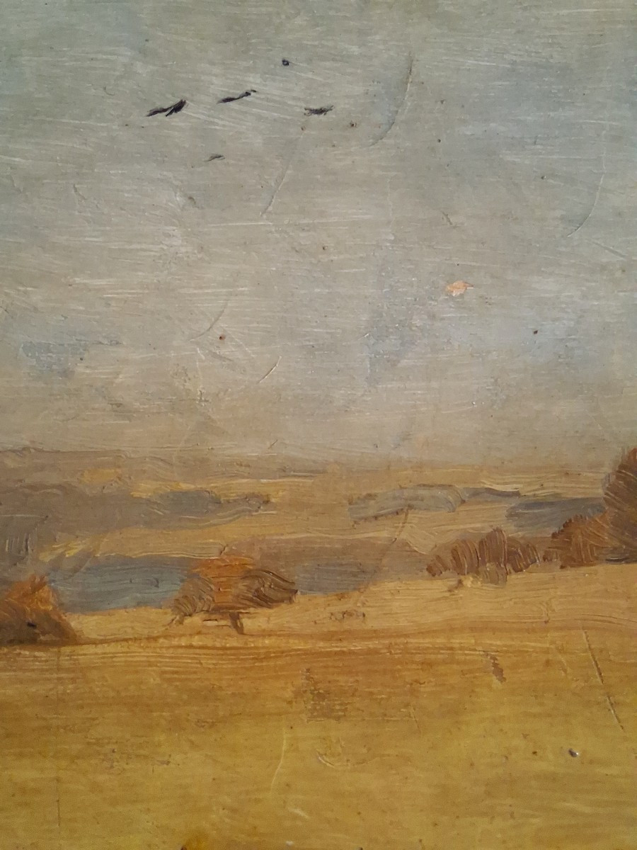 Emile BOULARD (1863-1943) huile sur bois paysage-photo-4