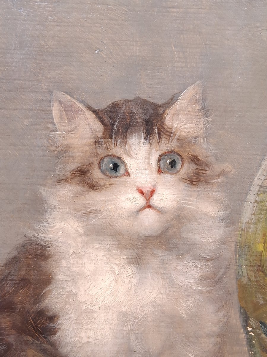 Emile Valentin Cardinal (1883–1958) Kittens And Goldfish, Oil On Wood-photo-3
