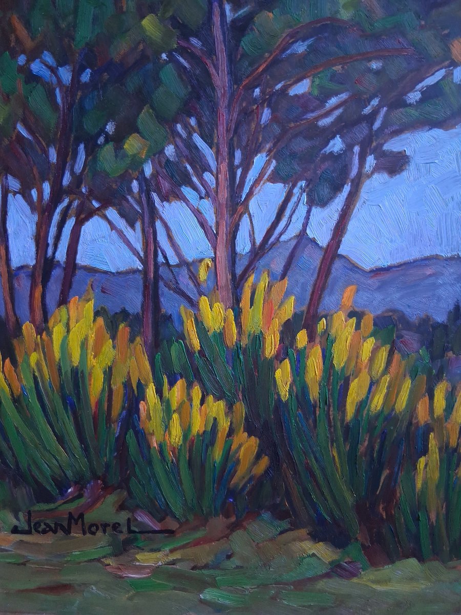 Jean Morel Provençal Landscape "genêts Vers  Le Barroux" Oil On Panel 1957-photo-3