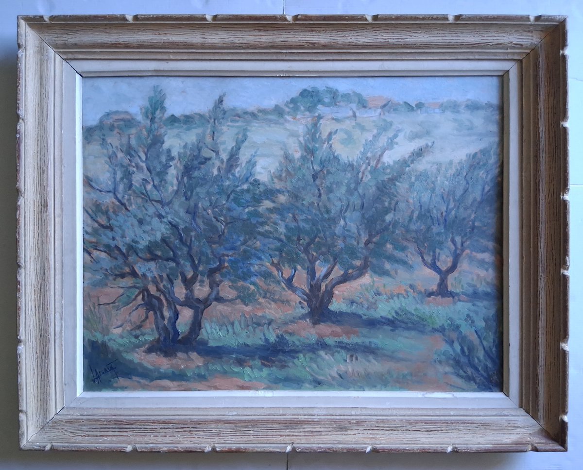 Louis Arcaix Oil On Wood Provençal Landscape "olive Trees In Provence" 1959