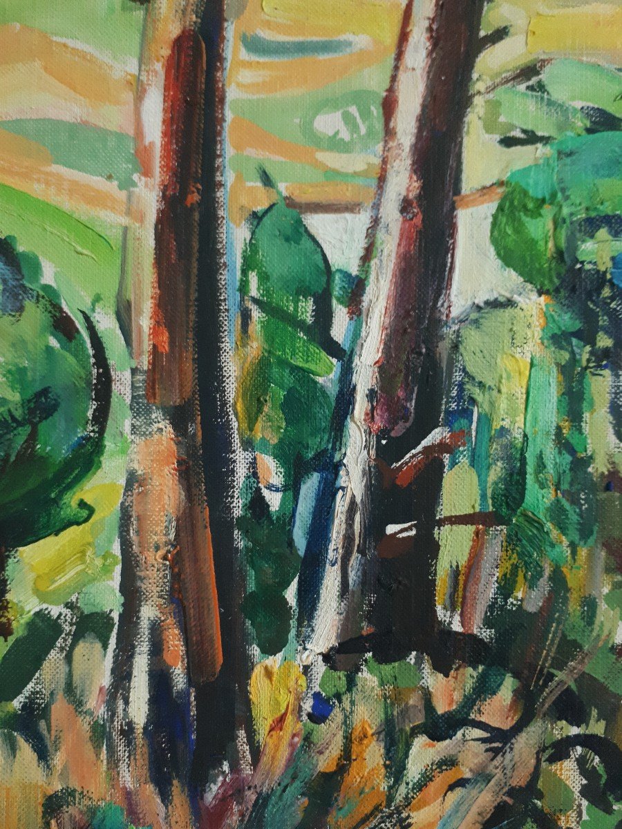 Stéphane SCIORTINO (né en 1925) paysage près du Cap Camarat - Var - huile sur toile 1973-photo-3