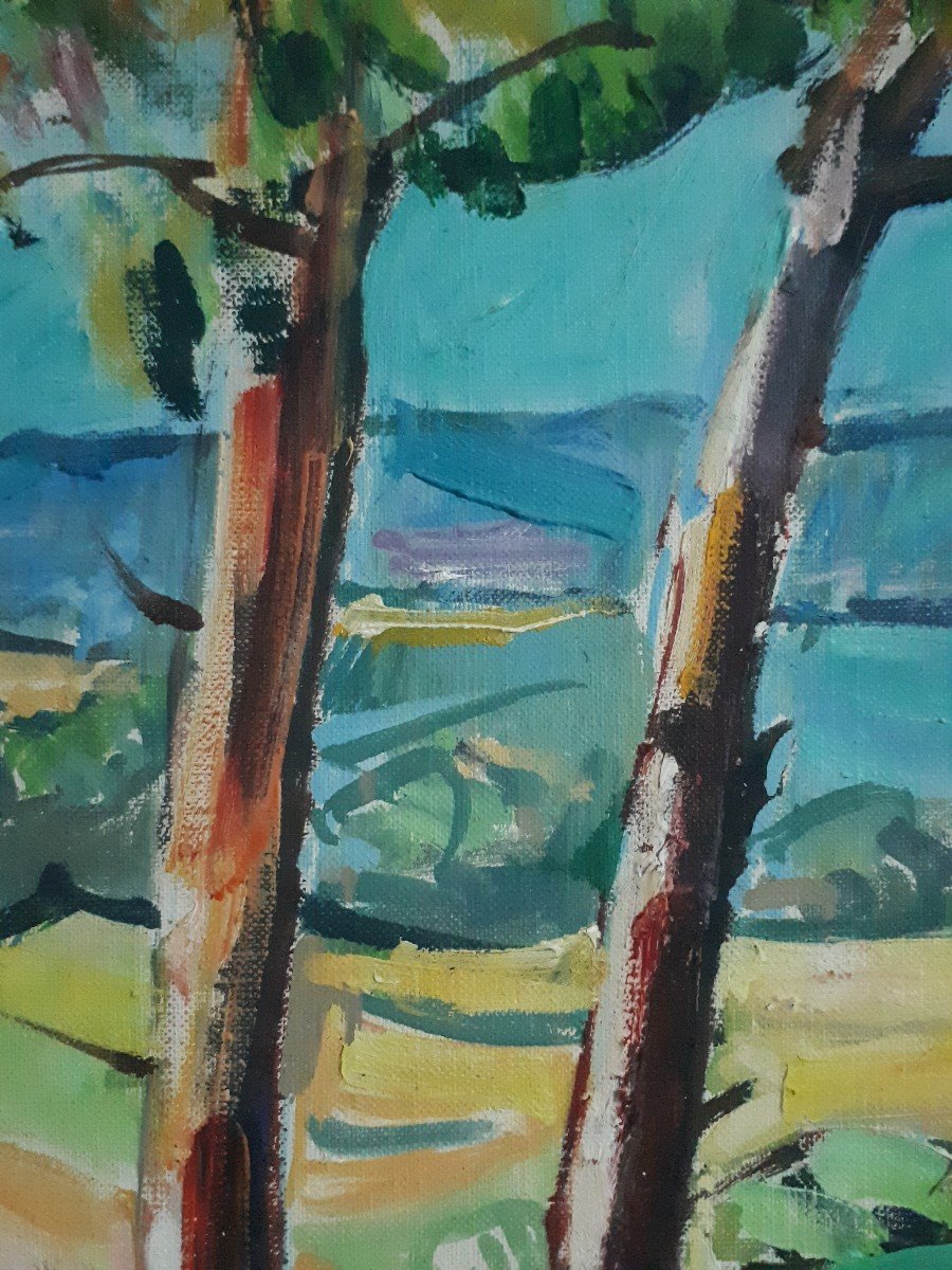 Stéphane SCIORTINO (né en 1925) paysage près du Cap Camarat - Var - huile sur toile 1973-photo-4