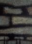 1364326-alb-667ee8b542546.jpg